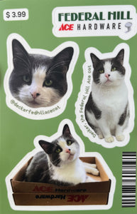 Decker Cat Sticker Sheet