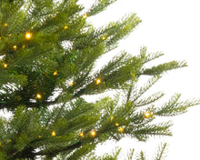 Load image into Gallery viewer, 7ft Pre-Lit Arlberg Fir
