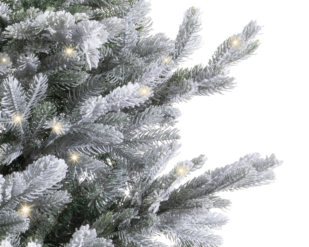 7ft Pre-Lit Arlberg Frosted Fir