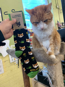 Benjamin the Waverly Ace Cat Socks