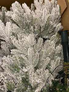 7ft Pre-Lit Arlberg Frosted Fir