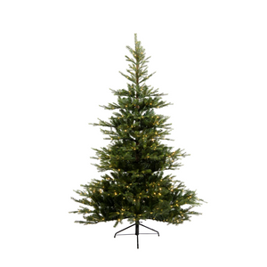 7.5' Grandis Fir Tree
