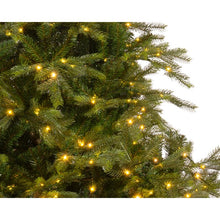 Load image into Gallery viewer, 7.5&#39; Grandis Fir Tree
