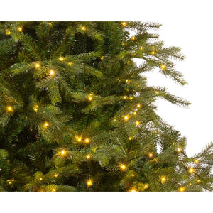7.5' Grandis Fir Tree